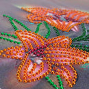 5D DIY Special Shaped Diamond Painting Flowers Cross Stitch Embroidery Kits