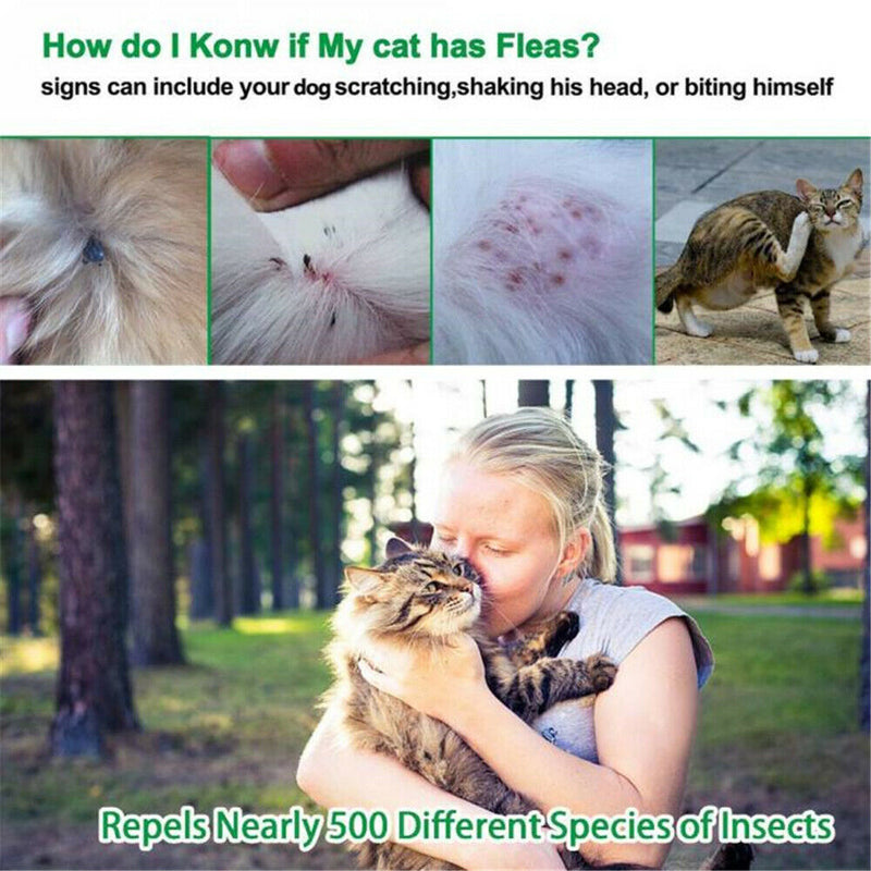 Utility Pet Dog Puppy Cat Elimination Flea Collar Anti-Flea Mosquito Trick Strap