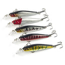 5Pcs Large Minnow Saltwater Fishing Lure Crankbait Hooks Bass Soft Bait Kit