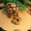 Large Reptile Feeding Bowl Food Water Terrarium Dish Pet Lizard Gecko Feeder