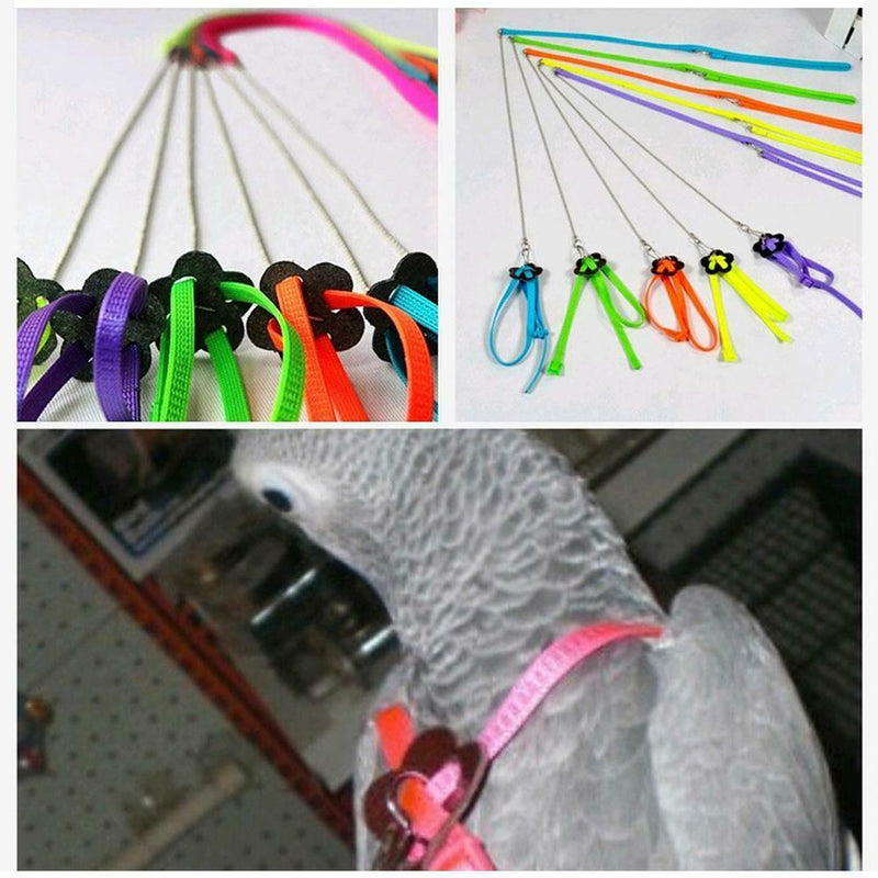 Bird Parrot Adjustable Harness & Leash Anti-bite Multicolor Light Soft