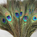 10PCS Real Natural Peacock Tail Eyes Feathers 8-12 Inches /about 23-30cm New
