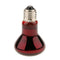 2Pcs Reptile UVA Infrared Heating Light Nightlight Daylight Bulb 50W & 100W