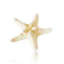 10pcs Natural Starfish Sea Star shell Aquarium Landscape Making DIY Craft Decor