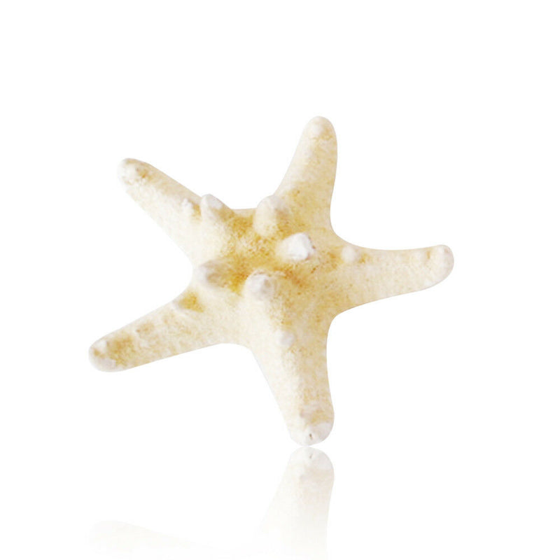 10pcs Natural Starfish Sea Star shell Aquarium Landscape Making DIY Craft Decor