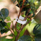 150 Pcs Plant Support Garden Clips,Tomato Vine Clips,Tomato Trellis Clips f