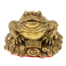 3 Legged Wealth Money Frog Toad Lucky Fortune Feng Shui Ornaments Gift S