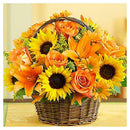 5D DIY Diamond Painting Sunflowers Cross Stitch Embroidery Rhinestones Kits