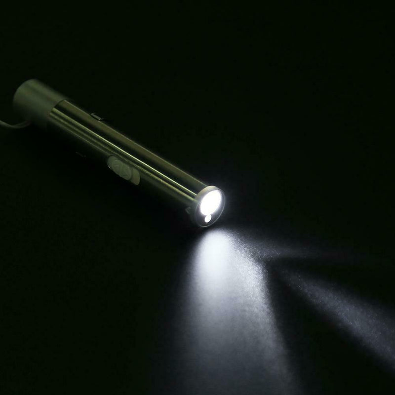 2 in 1 USB Rechargeable Mini Red Pointer Pen with White LED Light Torch A