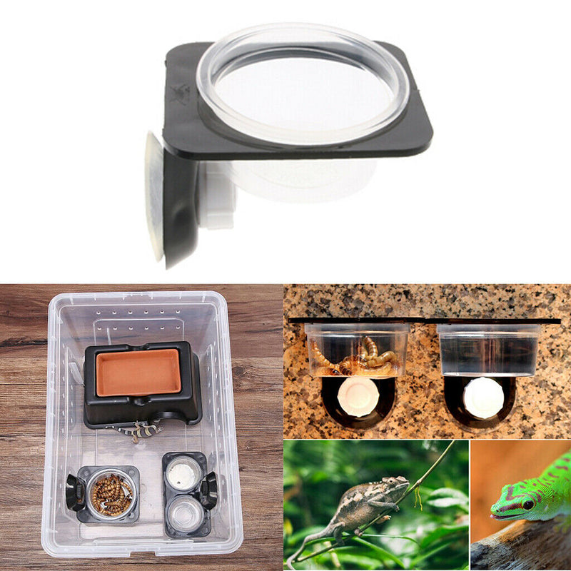 1Pcs Reptile Feeding Bowl Screw Food & Water Dish For Gecko, Lizard, Etc.