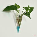 5Pcs Clear Glass Air Hydroponic Planter Plant Home Office Living Room Decors