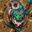 5D DIY Diamond Painting Owl Rhinestone Kit Full Square Wall Picture (F043)