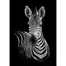 Animal Full Drill Diamond Painting 5D Mosaic Bead Art Picture (E31 Zebra)