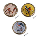 Shabby Chic Bird Print Cabinet Drawer Dresser Handle Pull Knob Hardware