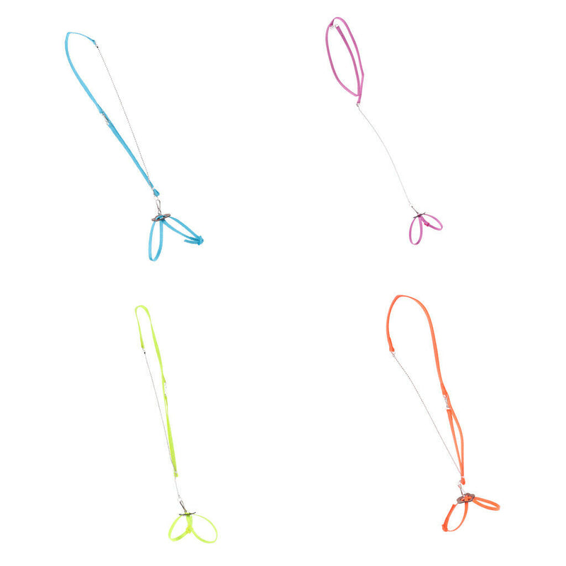 2Pcs Adjustable Nylon Pet Reptile Lizard Hauling Rope Walking Cable Harness