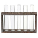 Test Tube Planter Flower Bud Vase with Wood Stand Tabletop Glass Terrarium