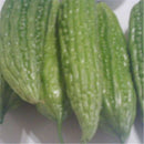 100 pcs Bitter Melon Gourd Ampalaya  Seeds Fresh From My Garden SP