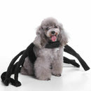 Halloween Pet Dog Costume Clothes Big Spider Costume Clothes For Dogs Chihu
