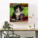 5D DIY Full Drill Diamond Painting Lovely Cat Cross Stitch Embroidery Kit