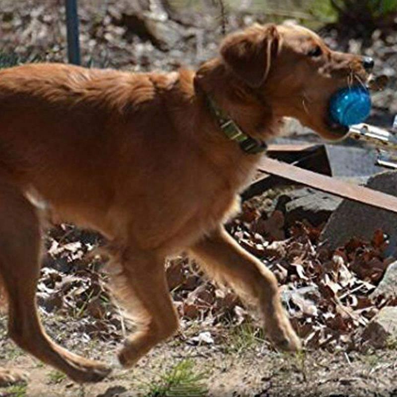 Pet Puppy Dog Squeaky Fetch Ball Toys [Meteorites Bouncy Series] Bite Resis I5M7