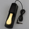 Electronic Piano Delay Pedal I General Electric Piano Delay Pedal Keyboard