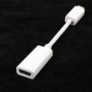 Plastic Mini DVI Male to HDMI Female Video Adapter Cable for MacBook