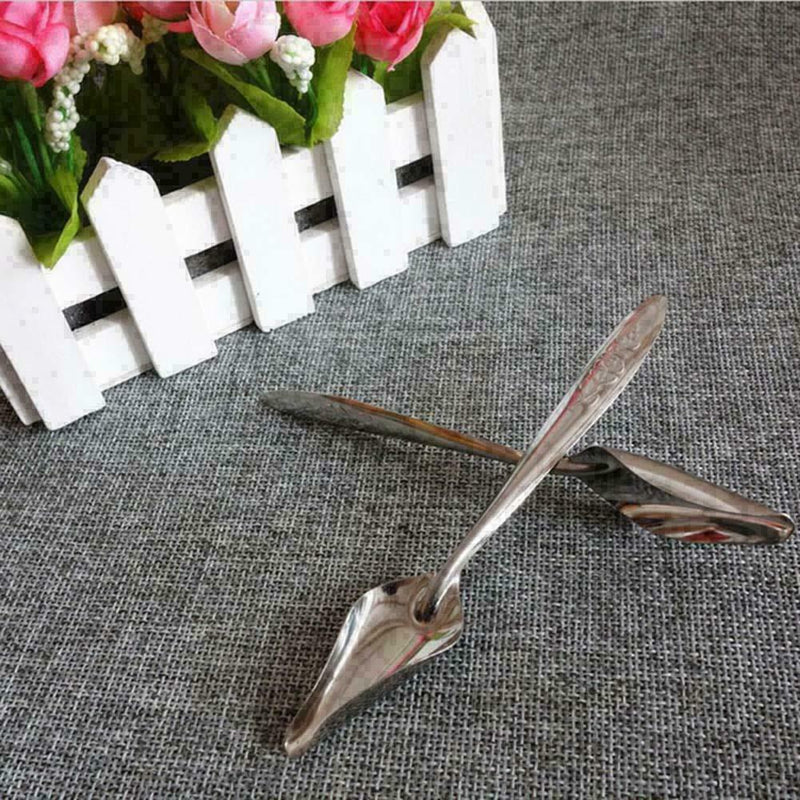 1pcs Stainless Steel Pet .Feeding Tool Water Milk Spoon For Bird Parrot Sup R1F2