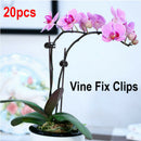 20pcs Plant Support Clips Garden Clips Flower Orchid Stem Clips Vine Support Ew