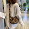 Fashion Leopard Print Crossbody Bag Women Plush Autumn Winter Pouch (Brown)