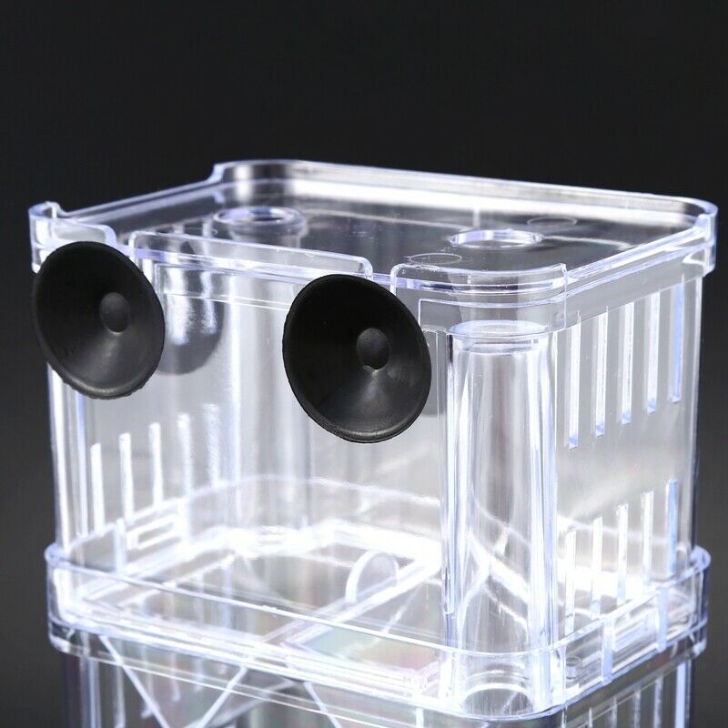 Clear Plastic Aquarium Fish Breeding Box Incubator Isolation