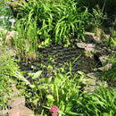 20pcs Set Plastic Net Pond Protector Floating Cover Net Cats Heron Deterrent