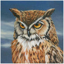 Gloryart 5D DIY Full Drill Diamond Painting Owl Embroidery Crafts Cross Stitch