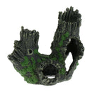 Reptile , Centipede, Spider Hideout Terrarium Trunk