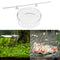 Glass Aquarium Feeding Dish + 450 MM Acrylic Tube Shrimp Feeder with Suction Cup
