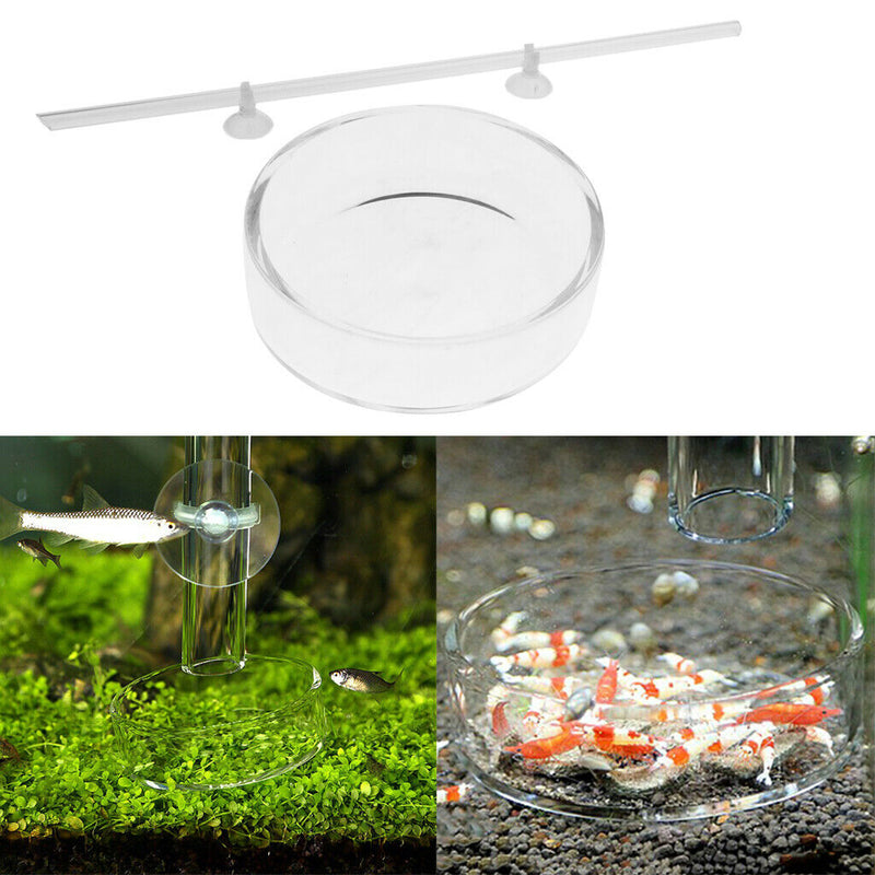Glass Aquarium Feeding Dish + 450 MM Acrylic Tube Shrimp Feeder with Suction Cup