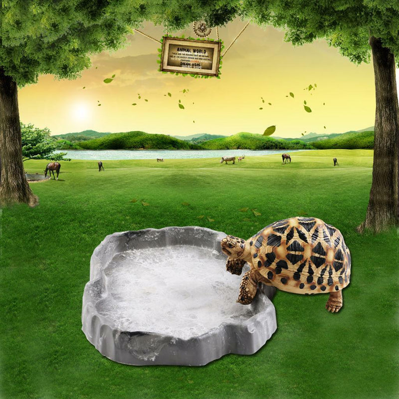 14x12x1.5cm Water Tray Food Container Dish Bowl Feeder for Reptile Turtle