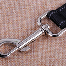 Elastic Pet Dog Walking Leads Stretch Bungee Rope Leash Training Belt Car Straps