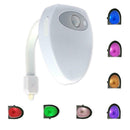 8-Color LED Body Sensing Motion Sensor Night Lamp Toilet Bowl Light