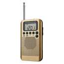 Mini Lcd Digital FM/AM Radio Speaker With Alarm Clock And Time Display Func