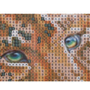 Leopard animals 5D Diamond DIY Embroidery Painting Cross Stitch Craft LJ