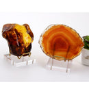 2Pcs Brass Arm Acrylic Base Display Stand Holder for Specimens Agate Decor