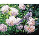DIY Bird Flower Painting By Numbers Kit Hand Painted Canvas Oil Art Picture