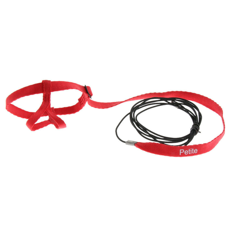 Adjustable Parrot Bird Harness Leash, Training Rope + Bird FlightSuit, Diaper