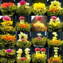 16Pcs Different Handmade Blooming TEA,Artistic flowering Green Flower ball