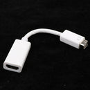 Plastic Mini DVI Male to HDMI Female Video Adapter Cable for MacBook