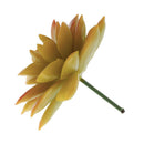 10Pcs Artificial Plastic Succulent Echeveria Flower DIY Microlandscape Decor