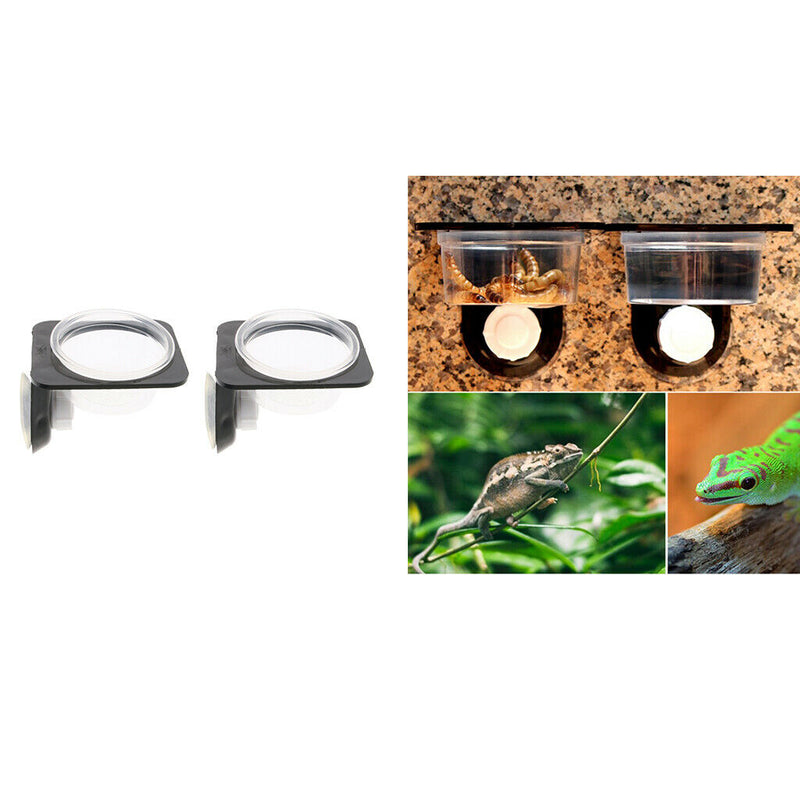 4Pcs Gecko Feeder Ledge Reptile Feeder Plastic Bowls for Reptiles Food and Water