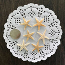 20 Cute  Small Mini Starfish Sea Star Shell Beach Deco Craft DIY Making 3cm-5cm