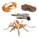 Realistic Life Cycle of Mosquito 4 Part Insects Hatchery Growth Figures Toys