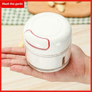 Stainless Steel Garlic Press Ginger Grinding Vegetable Cutter Kitchen Tool